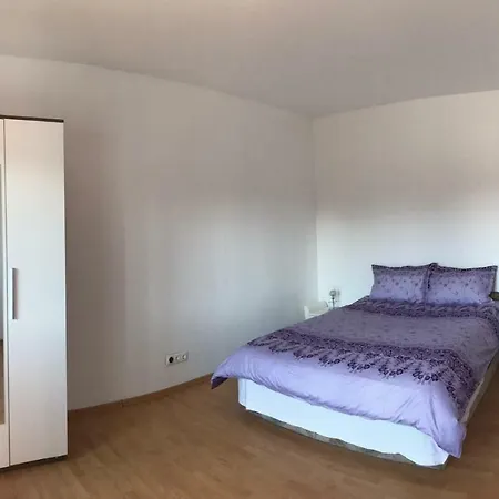 Vila Ekooos Brașov Exterior foto